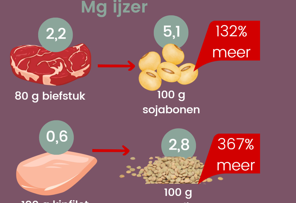 vegan ijzer