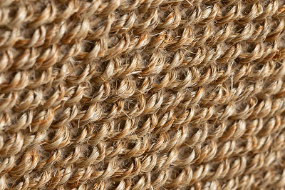 Sisal